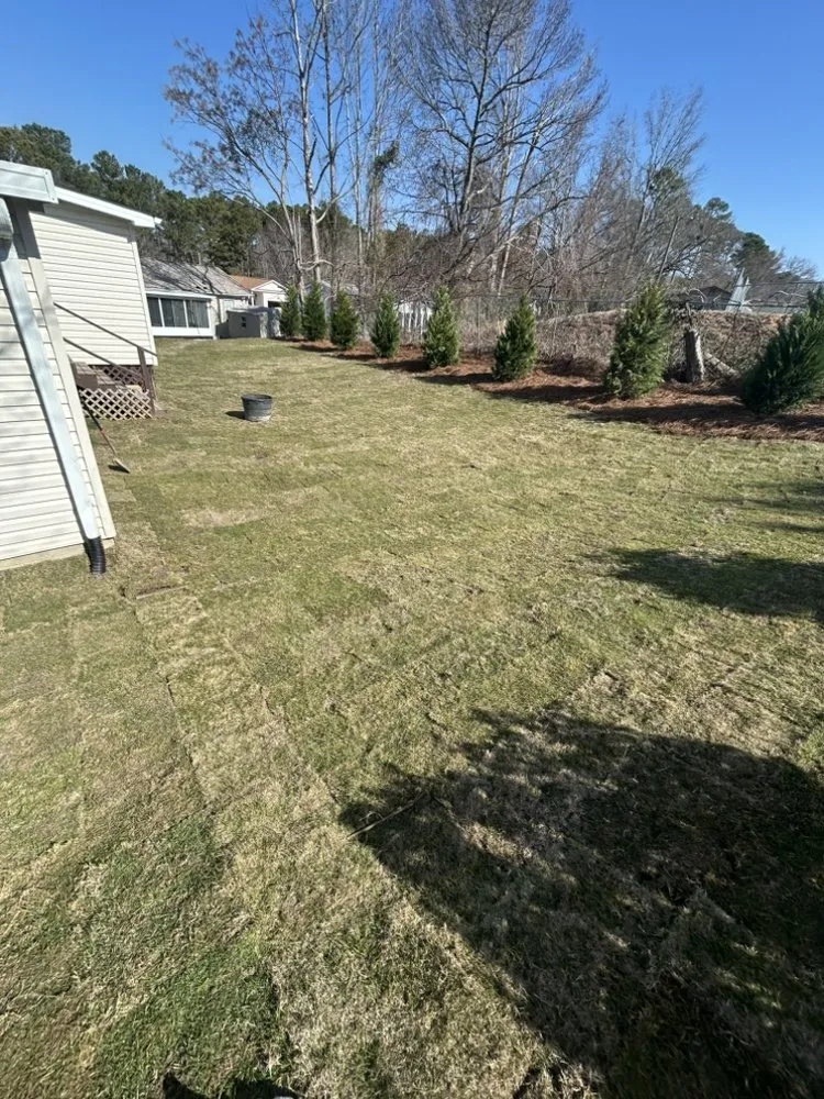 Affordable yard cleanup service near you across Augusta, GA - Oxendines Lawn Care