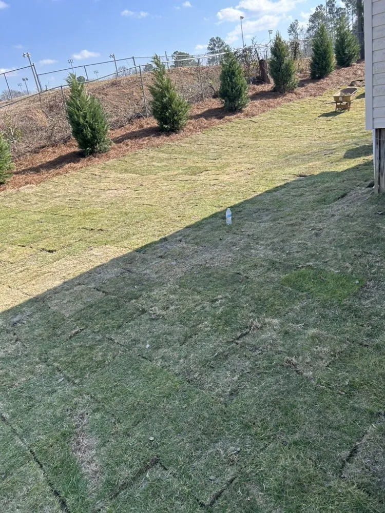 Affordable lawn care service for homes across Augusta, GA - Oxendines Lawn Care