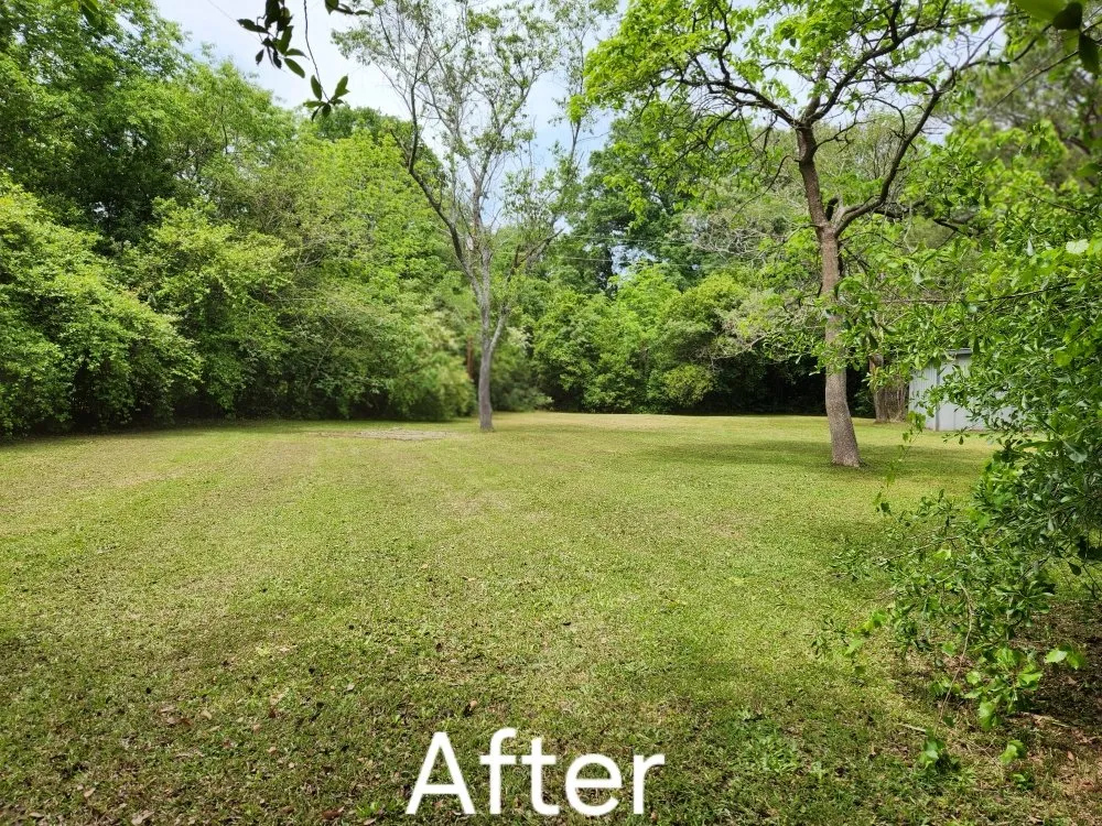 Trusted lawn care service in Maxton, NC by Oxendine's Lawn Care