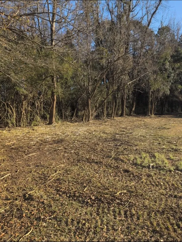 Expert lawn mowing service in Maxton, NC - Oxendine's Lawn Care