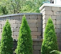 Affordable lawn care service in Pittsburgh, PA by Oxford Landscaping