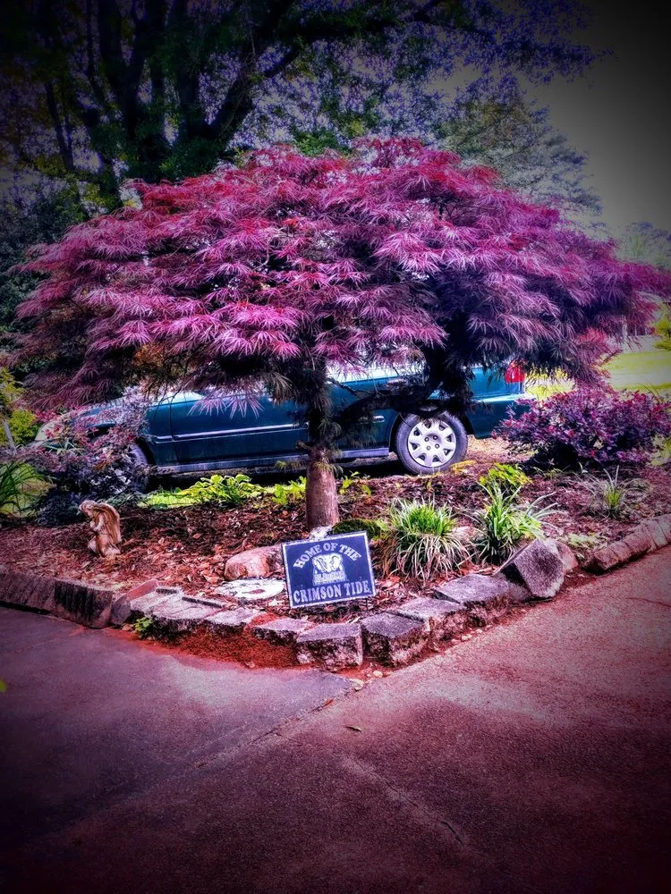 Custom outdoor landscaping for year-round maintenance in Oxford, AL by Oxford Lawn Maintenance & Landscaping