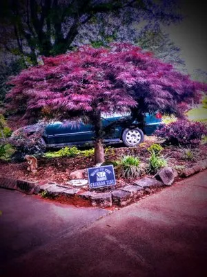 Oxford Lawn Maintenance & Landscaping