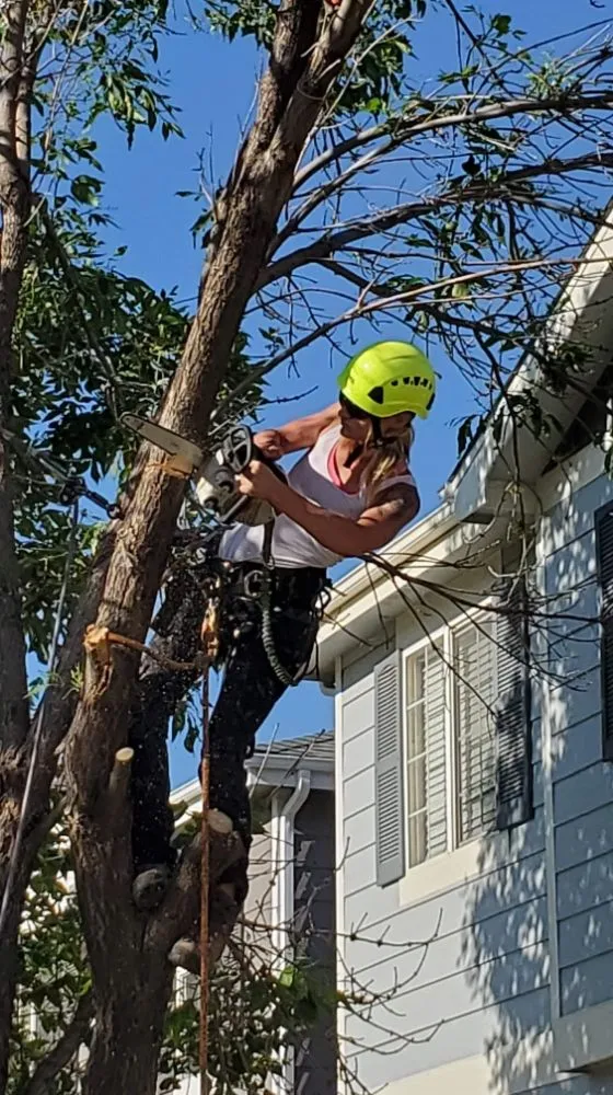 Top-rated garden landscaping for year-round maintenance in Loveland, CO by Oxford Sober Living Housing
