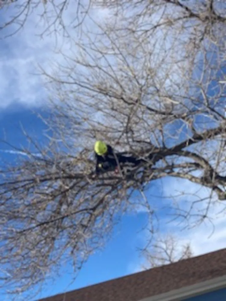 Expert landscape installation near you across Loveland, CO - Oxford Sober Living Housing