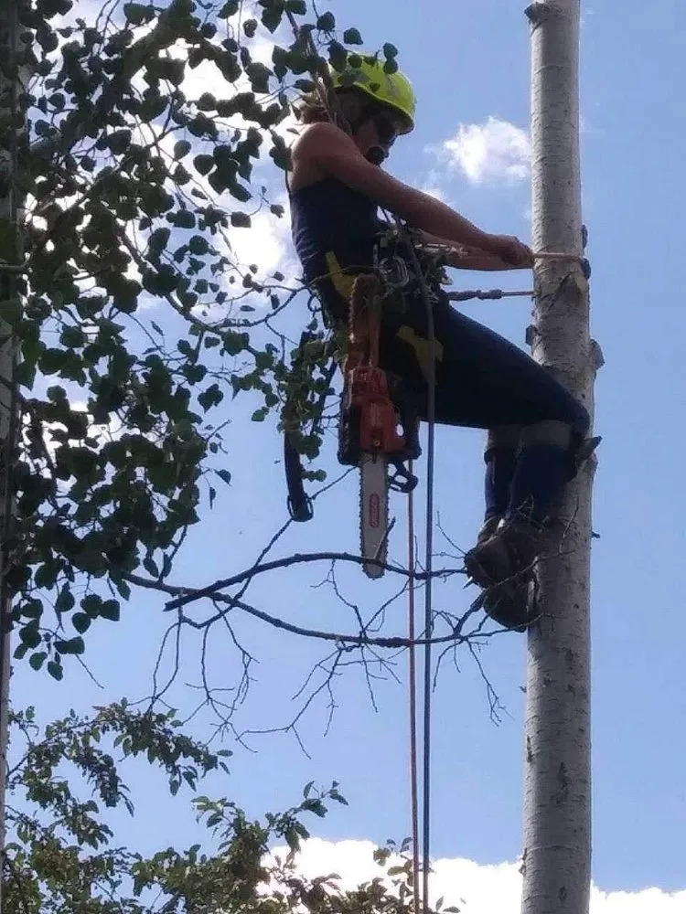 Expert yard cleanup service for residential properties across Loveland, CO - Oxford Sober Living Housing