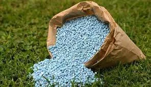 Professional yard maintenance experts serving Monroe, GA - Oxi Turf