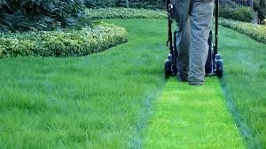 Reliable landscape design for beautiful yards in Monroe, GA by Oxi Turf