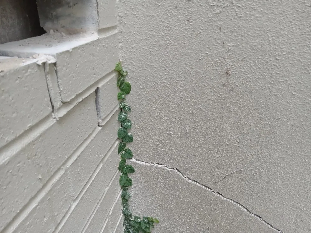 Custom garden landscaping experts serving Cedar Creek, TX - Oxpro Custom Masonry