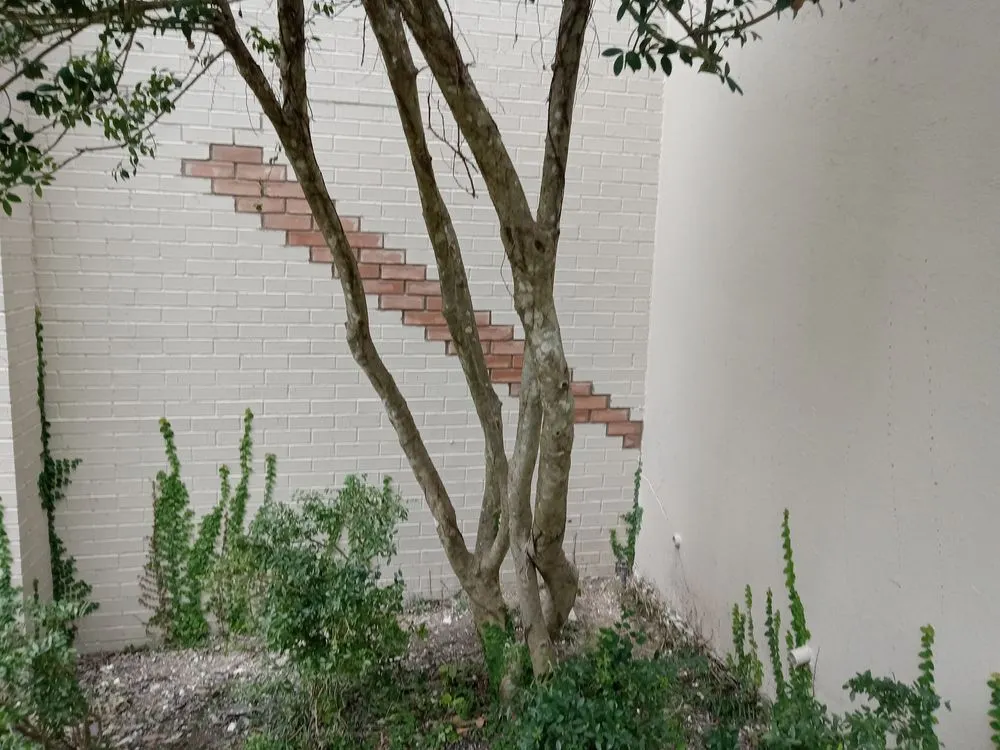 Top-rated residential landscaping in Cedar Creek, TX by Oxpro Custom Masonry