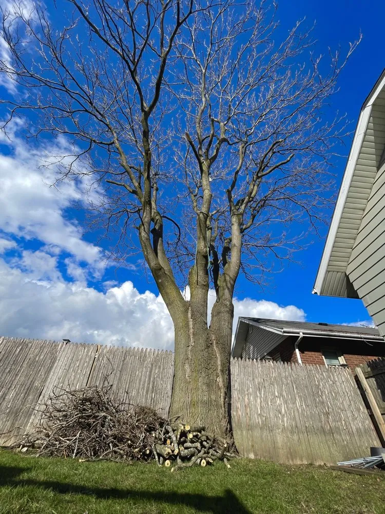 Expert outdoor landscaping in Grand Rapids, MI by Oxy Sense Landscaping