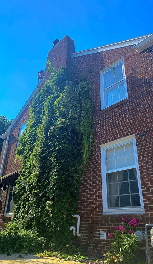 Local landscape installation for homes across Grand Rapids, MI - Oxy Sense Landscaping