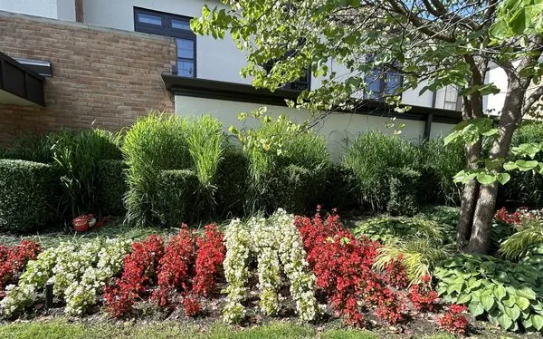 Oxy Sense Landscaping