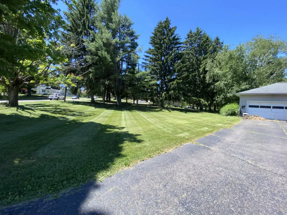 Professional yard cleanup service in Lexington, OH by Oyster Lawn Care