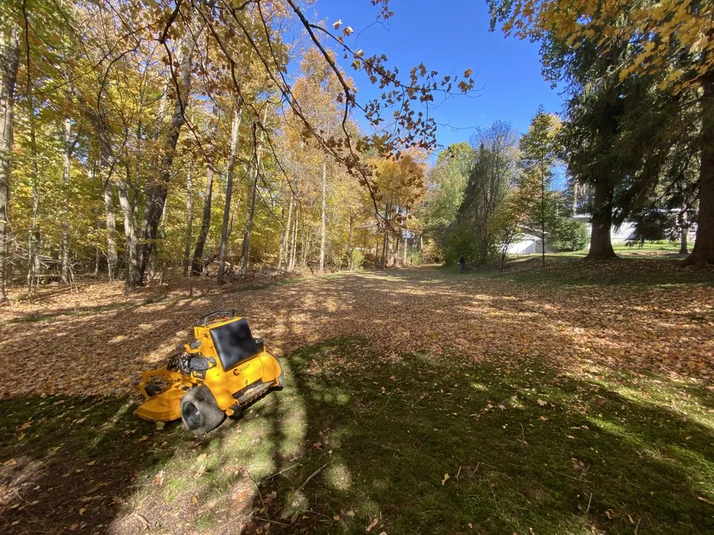 Reliable yard maintenance for outdoor upgrades in Lexington, OH by Oyster Lawn Care