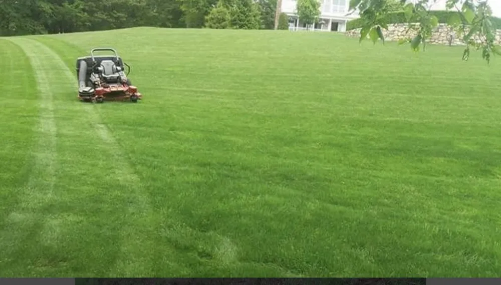 Local yard cleanup service for outdoor upgrades across Andover, MA - OZ Landscaping