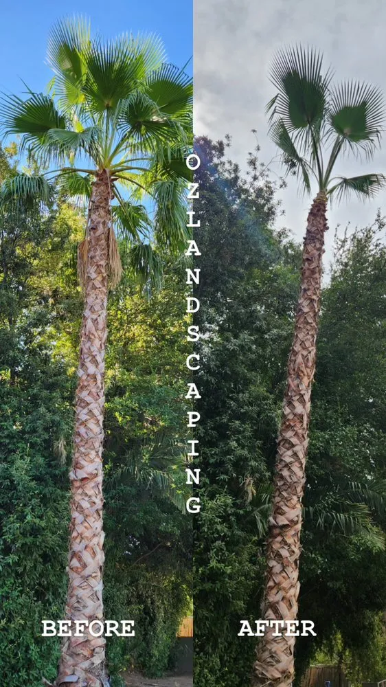 Local landscape installation experts serving Fresno, CA - Oz Landscaping