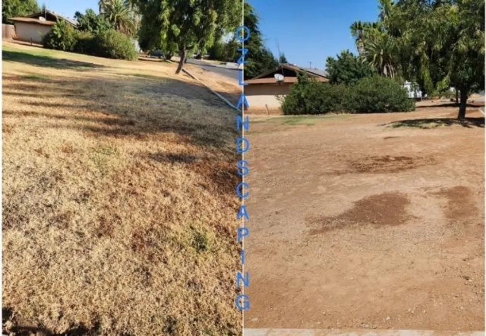 Reliable outdoor landscaping for year-round maintenance in Fresno, CA by Oz Landscaping