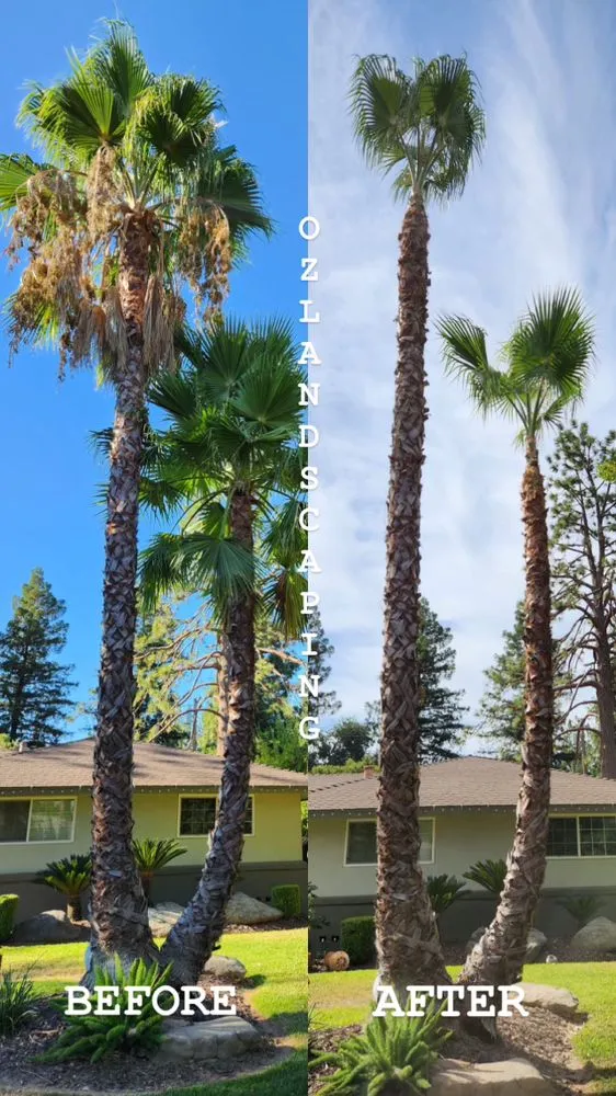 Reliable residential landscaping experts serving Fresno, CA - Oz Landscaping