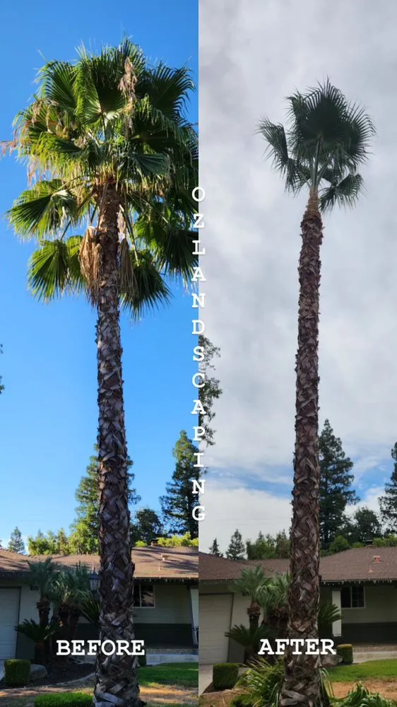 Reliable lawn mowing service in Fresno, CA by Oz Landscaping