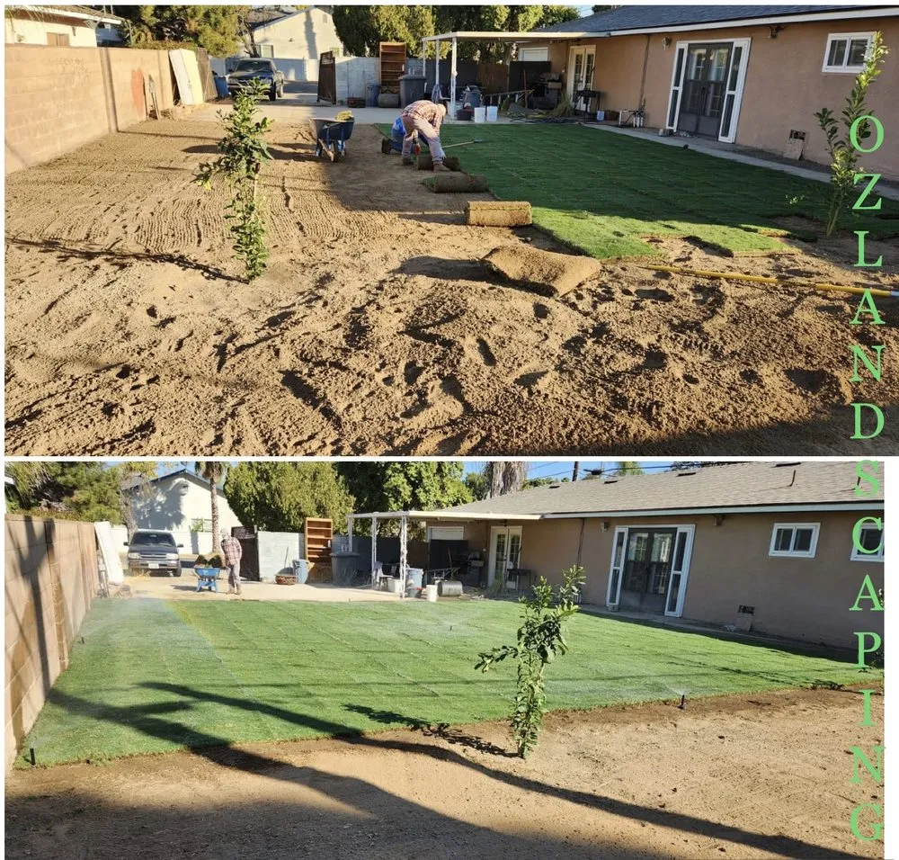 Local yard cleanup service in Fresno, CA - Oz Landscaping