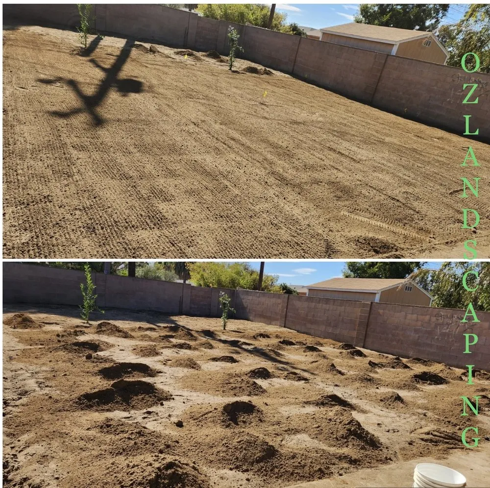Trusted yard cleanup service in Fresno, CA - Oz Landscaping
