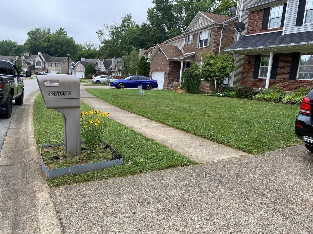 Expert landscape installation experts serving Louisville, KY - Oz Lawn Care