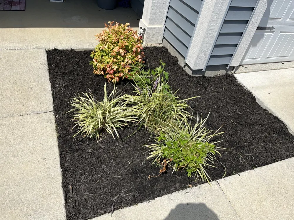 Trusted residential landscaping for beautiful yards in Louisville, KY by Oz Lawn Care