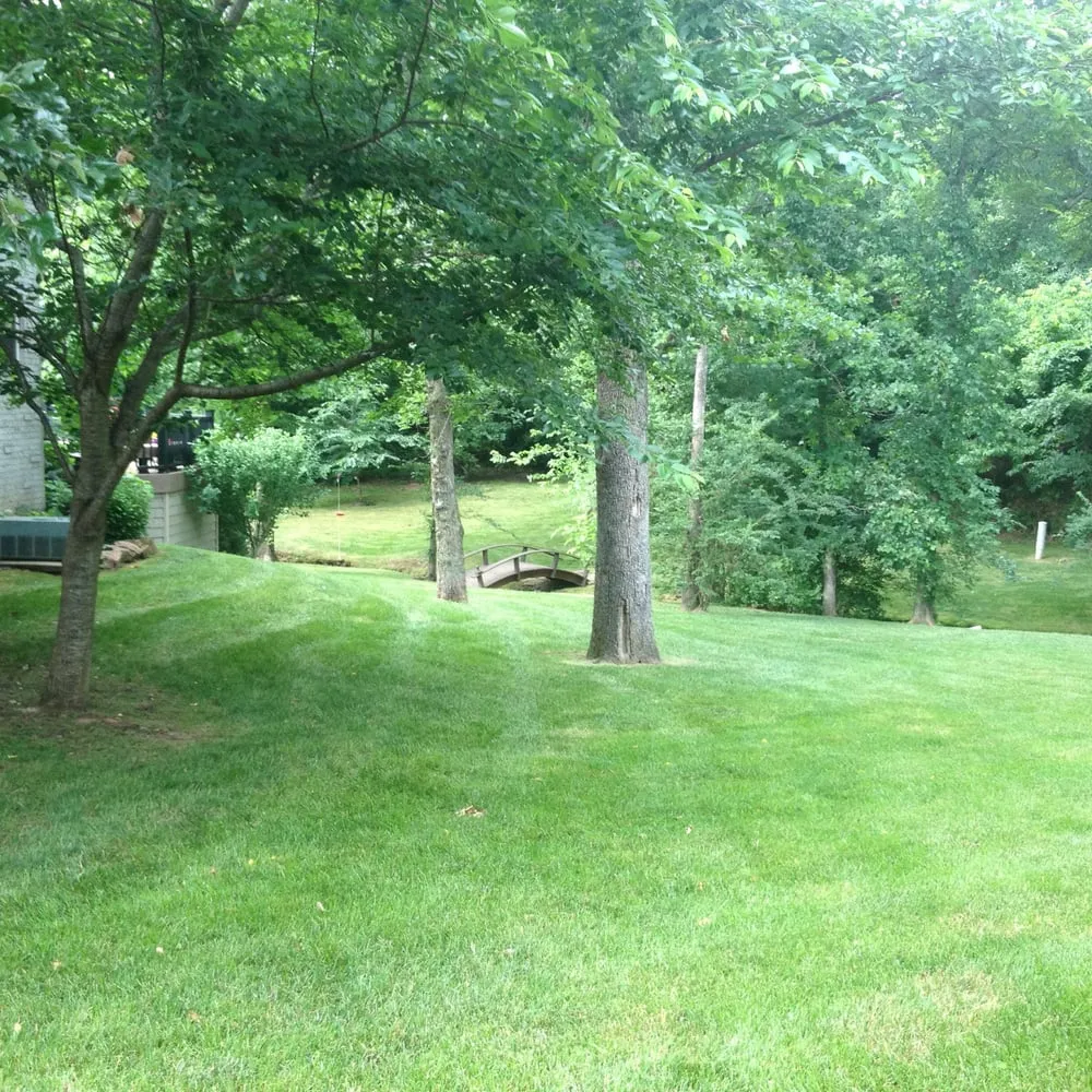 Affordable lawn care service for outdoor upgrades in Fayetteville, AR by Ozark Lawn & Landscapes