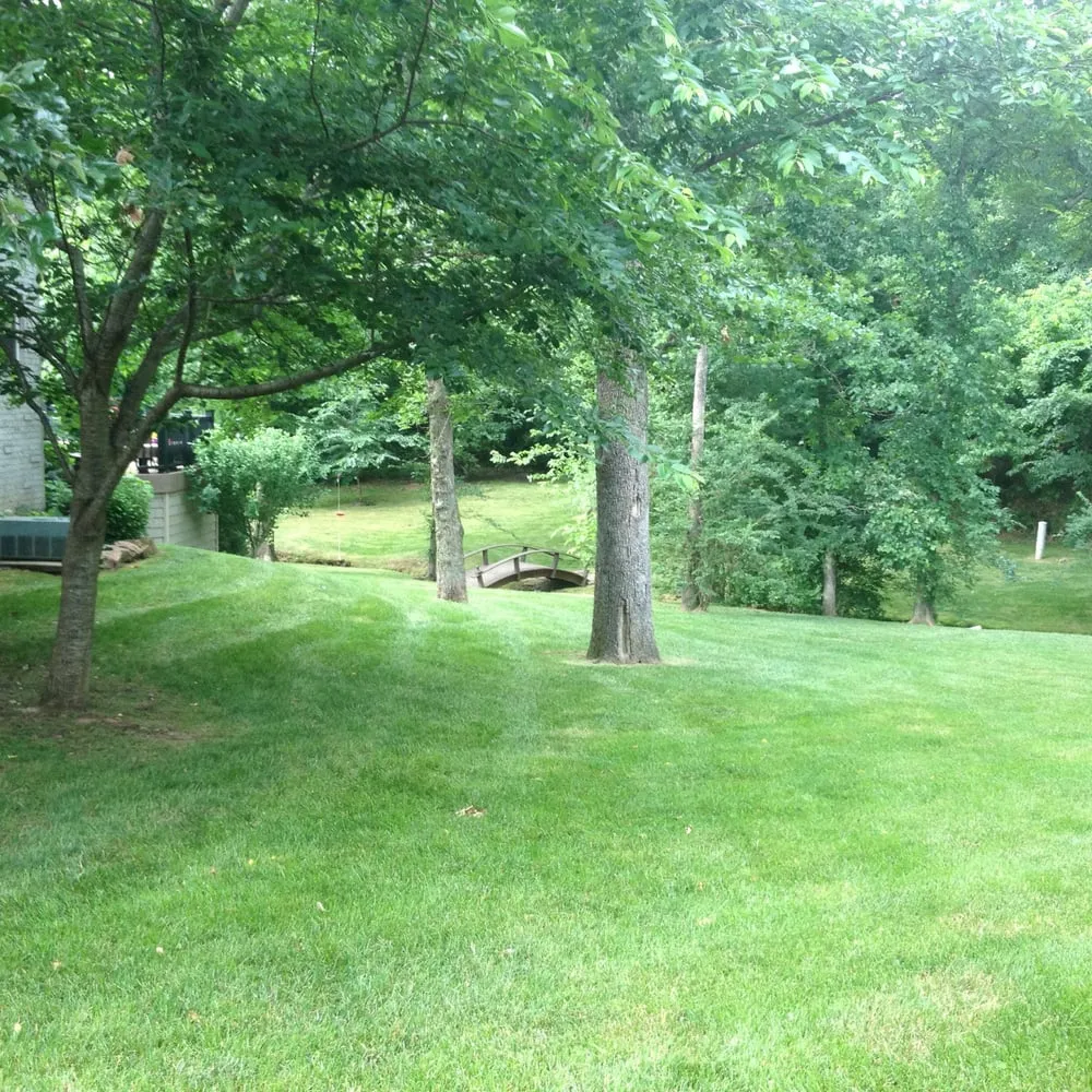 Custom landscape design near you across Fayetteville, AR - Ozark Lawn & Landscapes