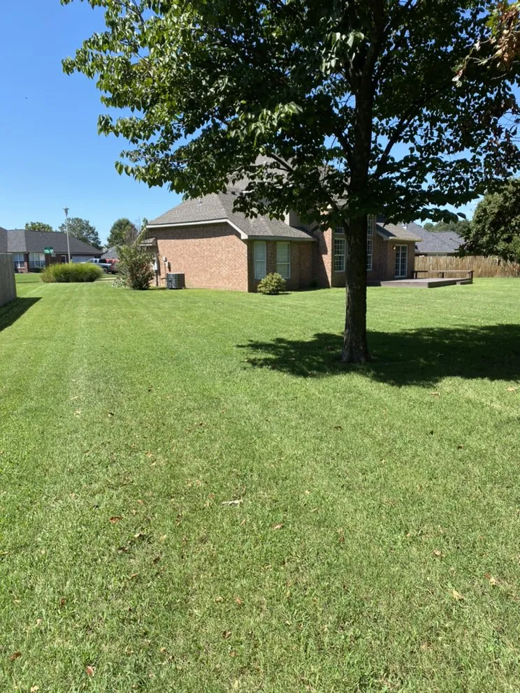 Top-rated landscape design for year-round maintenance across Fayetteville, AR - Ozark Lawn Professionals