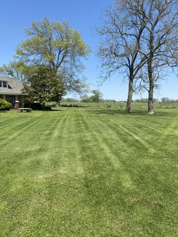 Top-rated outdoor landscaping in Fayetteville, AR - Ozark Lawn Professionals