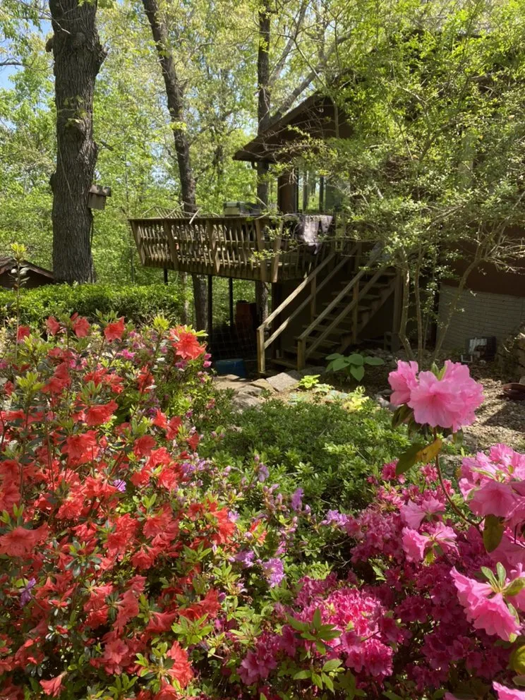 Professional yard maintenance for homes across Fayetteville, AR - Ozark Lawn Professionals