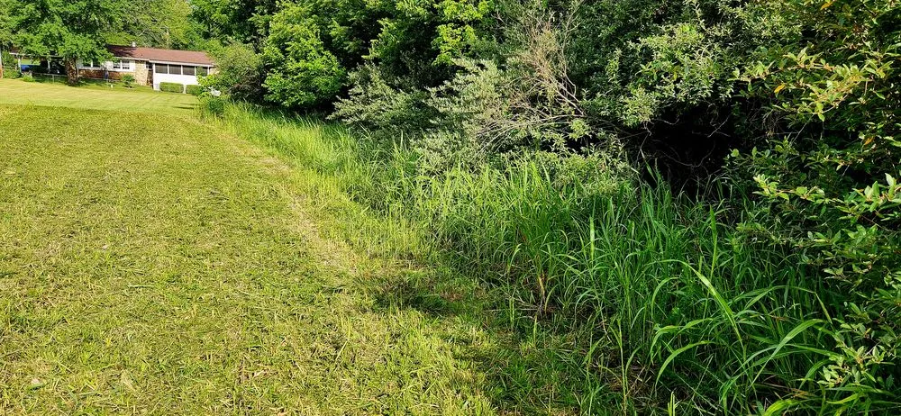 Professional landscaping services in Roach, MO - Ozark Mowing