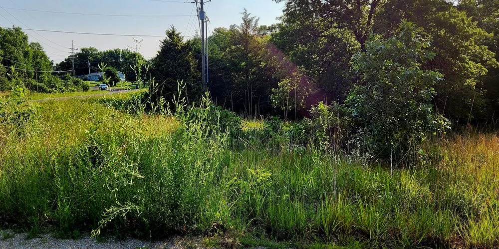 Expert yard maintenance in Roach, MO - Ozark Mowing