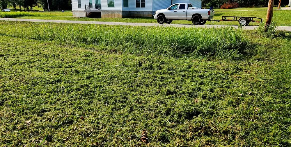 Professional yard maintenance in Roach, MO by Ozark Mowing