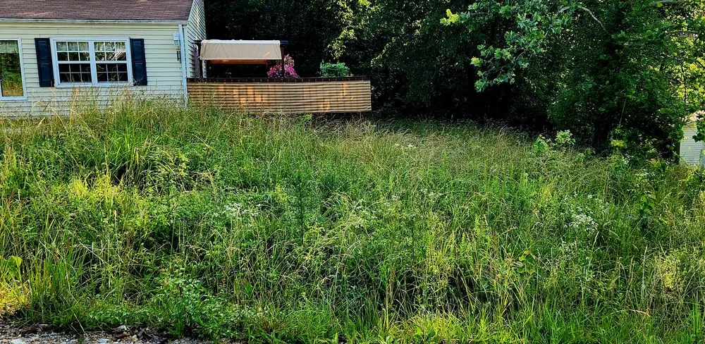 Professional landscape installation in Roach, MO by Ozark Mowing