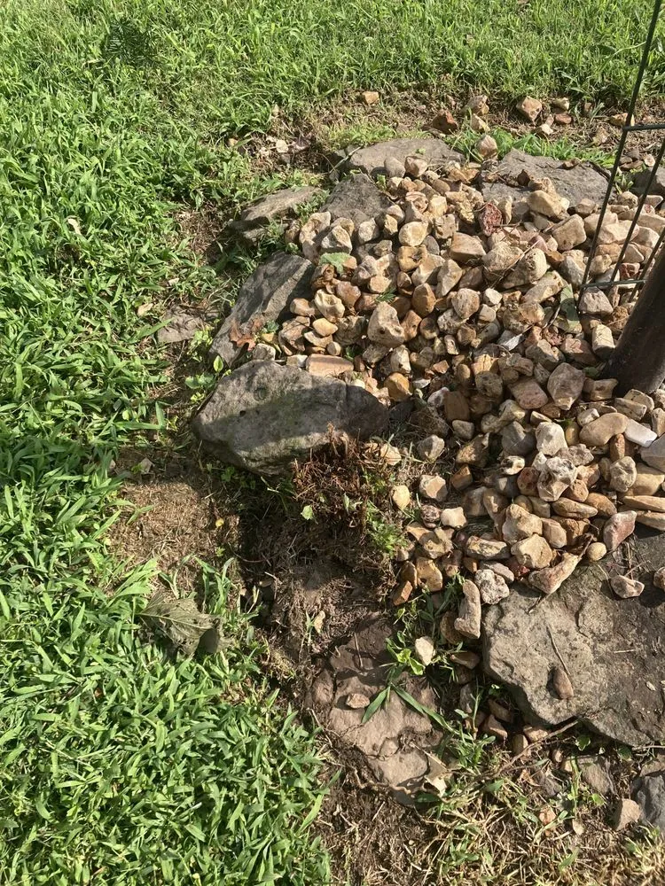 Affordable lawn mowing service for homes in Nixa, MO by Ozarks Outdoor Solutions