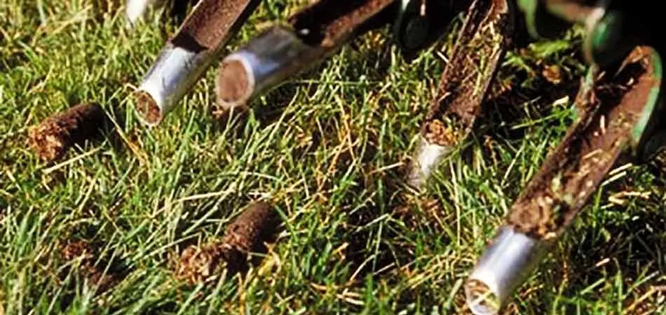 Trusted landscaping services in Nixa, MO by Ozarks Outdoor Solutions