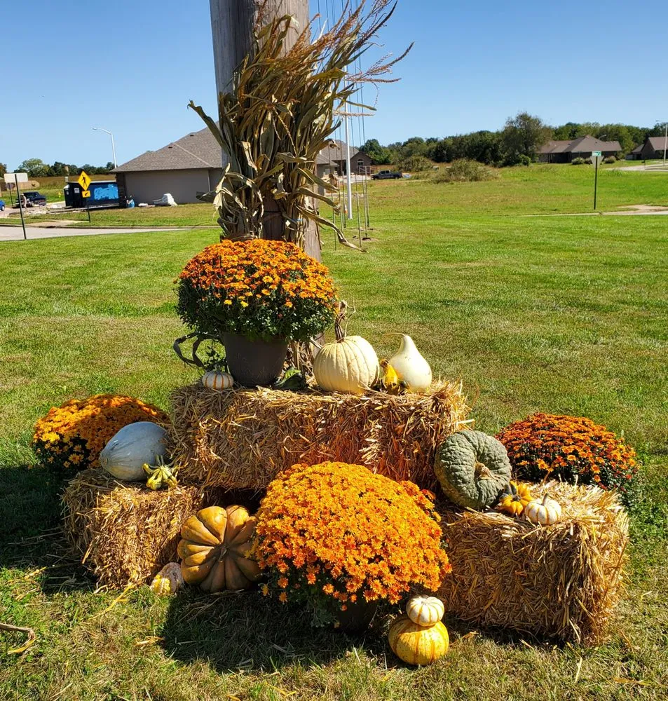 Local residential landscaping near you across Nixa, MO - Ozarks Outdoor Solutions