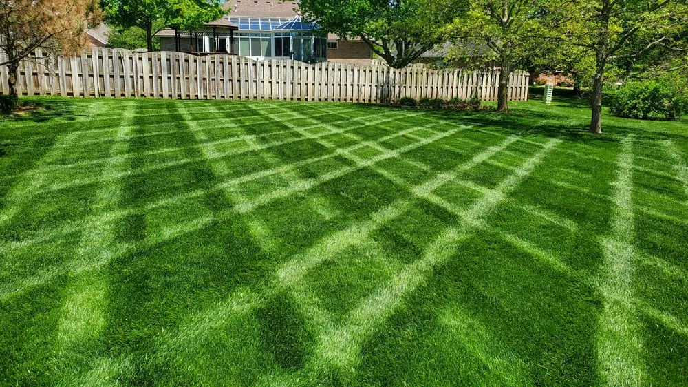 Trusted outdoor landscaping in Nixa, MO by Ozarks Outdoor Solutions