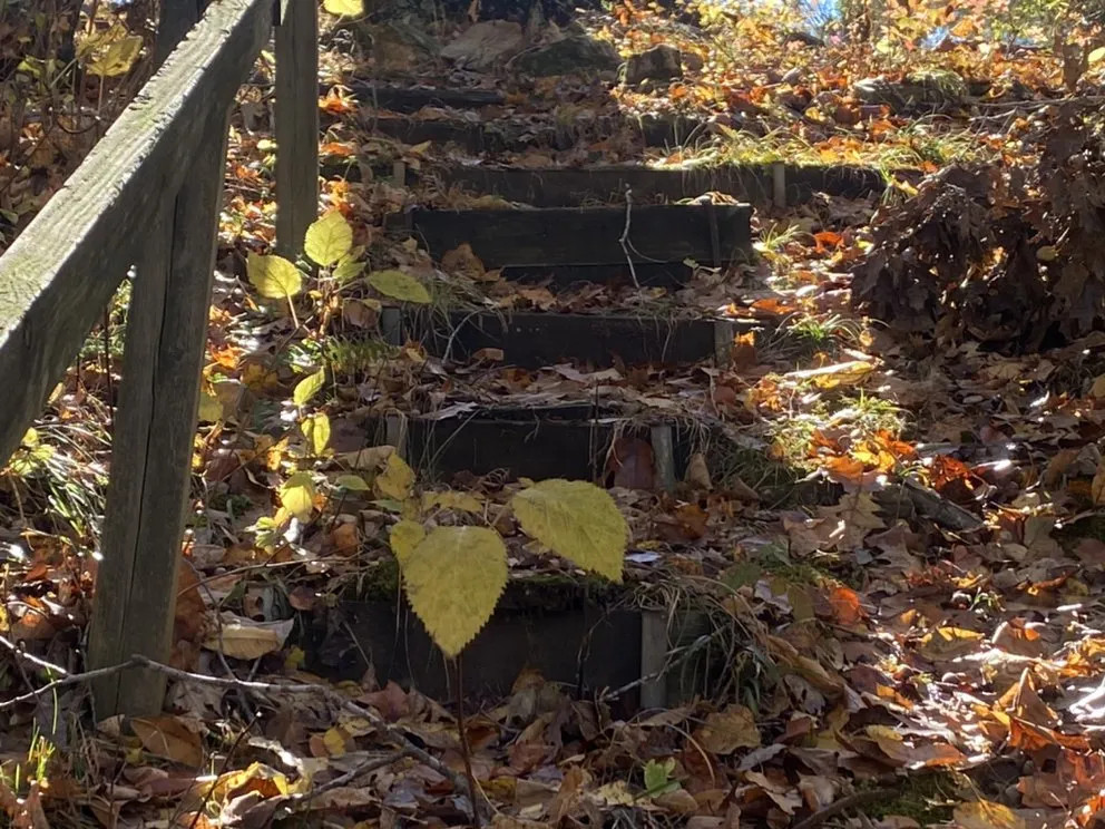 Affordable garden landscaping in King, NC by Ozburn’s Landscaping