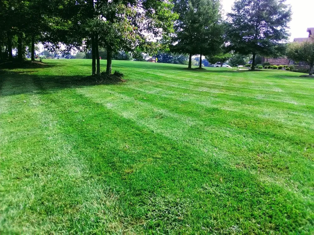 Top-rated lawn care service in King, NC - Ozburn’s Landscaping