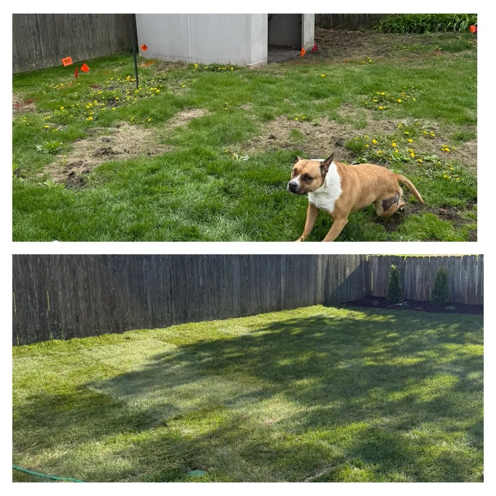 Trusted yard maintenance experts serving Elgin, IL - Ozzie's Landscaping