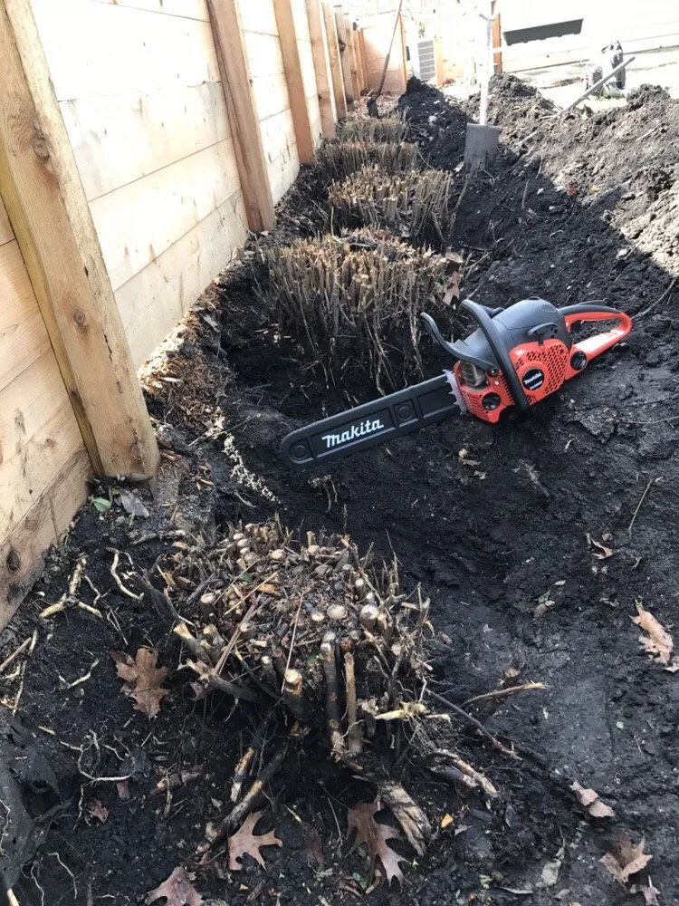 Expert garden landscaping in Elgin, IL by Ozzie's Landscaping