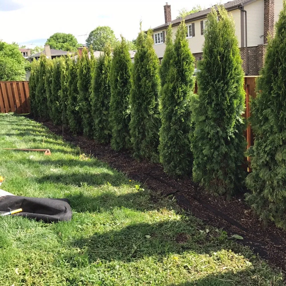 Trusted lawn care service in Elgin, IL - Ozzie's Landscaping