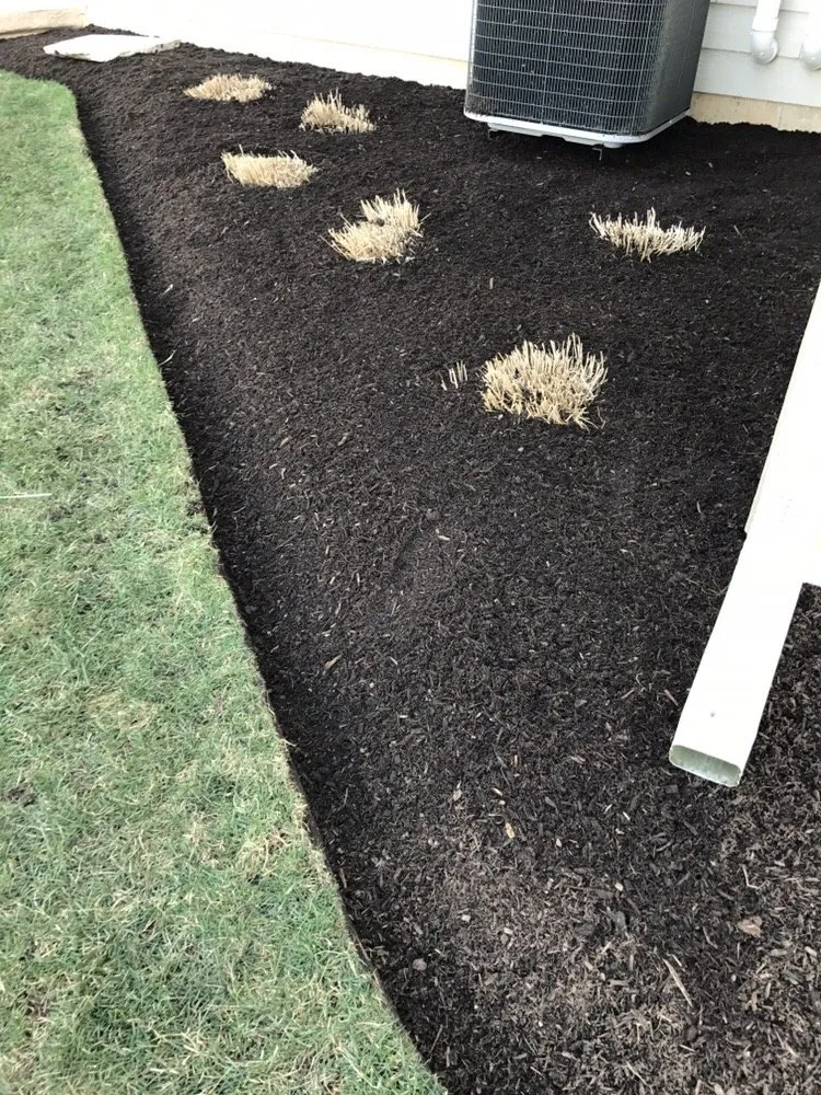 Local landscape installation in Elgin, IL by Ozzie's Landscaping