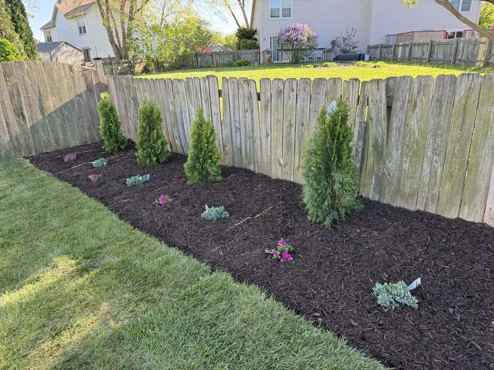 Expert lawn care service in Elgin, IL - Ozzie's Landscaping