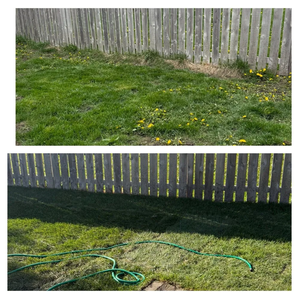 Professional lawn mowing service in Elgin, IL by Ozzie's Landscaping