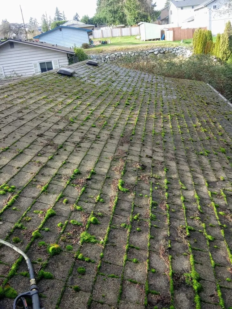 Custom residential landscaping experts serving Snohomish, WA - Ozzies outdoor services